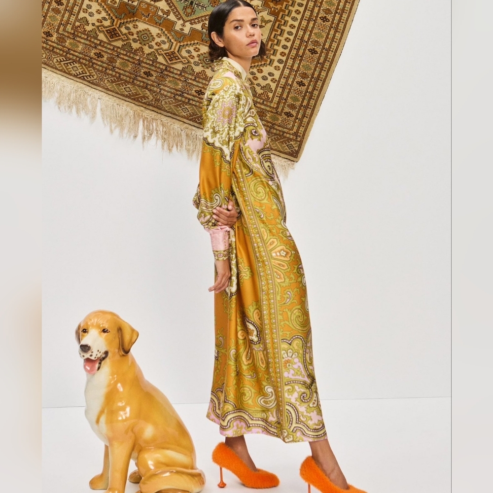 Alemais Clemenza Silk Shirtdress - Mult - Picture 2 of 16